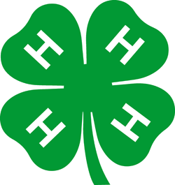 4H Biobauernhof M&ouml;rwald